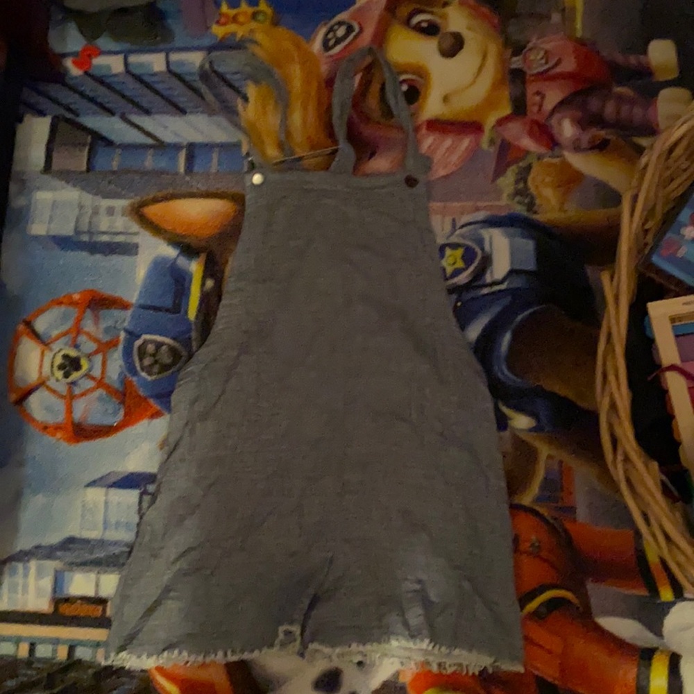 Earthbound trading co. loose overall jumper (shorts)